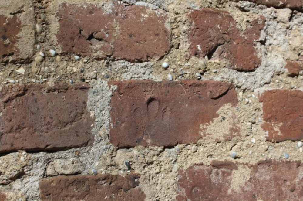 a close up of a rock next to a brick wall