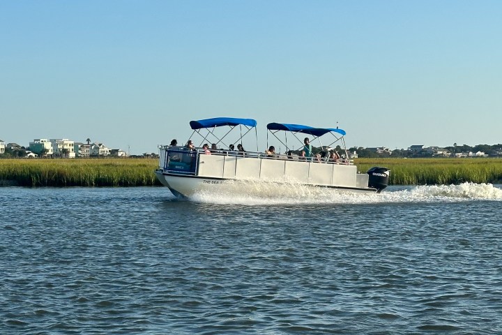White boat with blue canopy glides on water near grassy shore under clear blue sky.