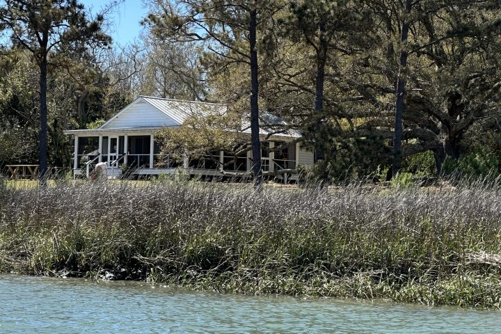 a large body of water with trees in the background