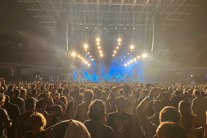 a flock of seagulls are standing in front of a crowd